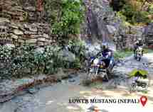 royal enfield classic 350 ride in the woods